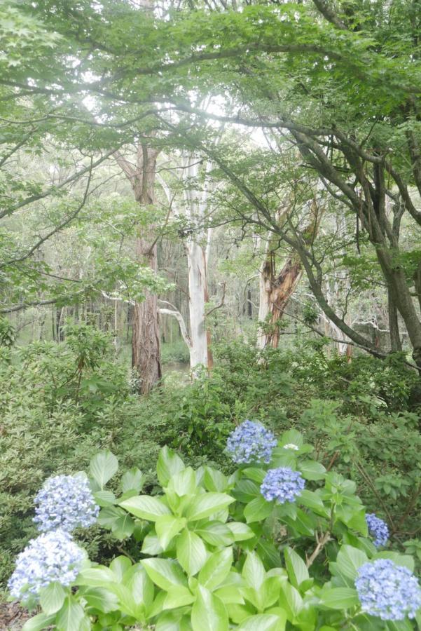 True North - 4Br Home & Garden In Bush Setting With Huge Bath Bilpin Ngoại thất bức ảnh