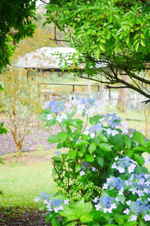 True North - 4Br Home & Garden In Bush Setting With Huge Bath Bilpin Ngoại thất bức ảnh